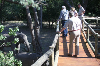 Nambwa Tented Lodge Kongola Exterior foto